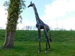 Giraffe Monza - 290 cm - Handgemaakt en Uniek, Tuin en Terras, Tuinbeelden, Ophalen of Verzenden, Metaal, Dierenbeeld