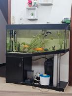 300 l  ..... 200 euro, Ophalen of Verzenden