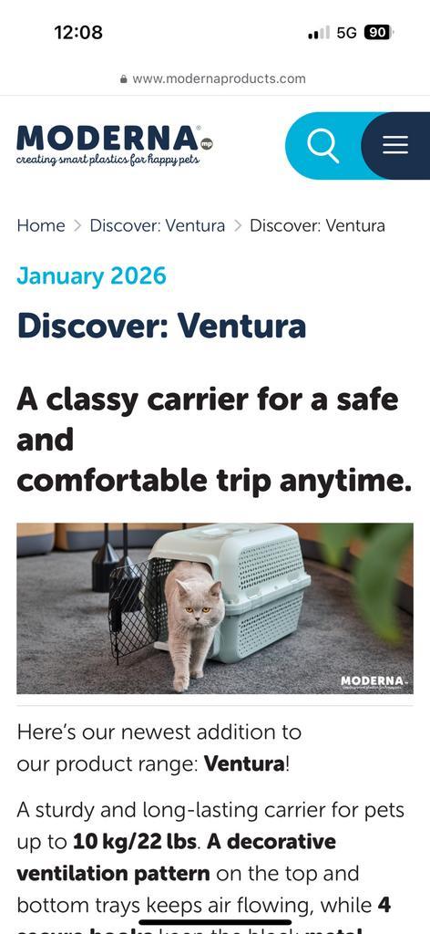 Ch.Brits korthaar Kokos, Animaux & Accessoires, Chats & Chatons | Chats mâles pour saillie & Étalons, 0 à 2 ans