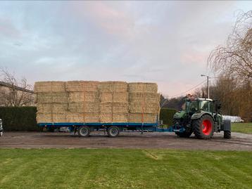 Grote balen hooi & stro  beschikbaar voor biedingen