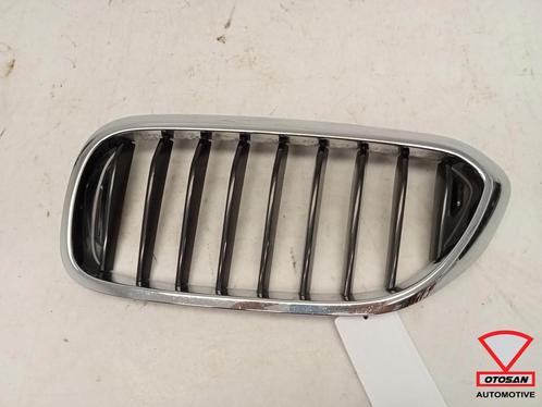 BMW 5 Serie G30 G31 Grille Nieren Links 51137473700, Auto-onderdelen, Carrosserie, BMW, Links, Gebruikt