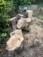 Gratis droge boomstronken af te halen, Tuin en Terras, Minder dan 3 m³, Ophalen, Essenhout, Blokken