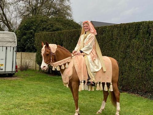 Arabian native costume, Animaux & Accessoires, Chevaux & Poneys | Brides & Harnachement, Comme neuf, Autres espèces, Enlèvement ou Envoi