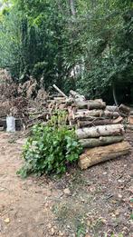 Brandhout 100 € per kubiek, Tuin en Terras, Brandhout, 3 tot 6 m³, Ophalen, Stammen