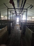 interieur vetmest varkensstal, Ophalen of Verzenden