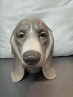 Hond (Basset) porselein Lladro, Ophalen, Zo goed als nieuw