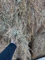 Hooi met analyse, Animaux & Accessoires, Nourriture pour Animaux, Enlèvement