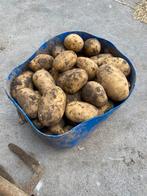 Aardappelen te koop, Diversen, Ophalen