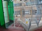 Cage oiseaux, Animaux & Accessoires, Oiseaux | Cages & Volières, Enlèvement ou Envoi