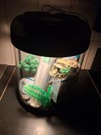 Aquarium + nieuwe toebehoren, Dieren en Toebehoren, Verzenden