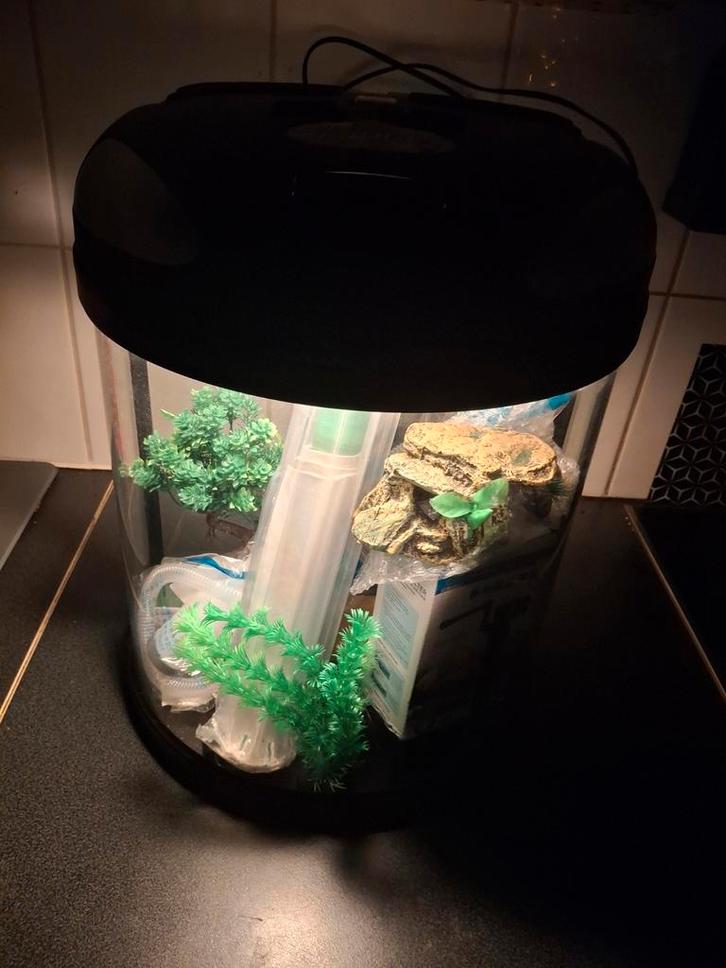 Aquarium + nieuwe toebehoren, Dieren en Toebehoren, Vissen | Aquaria en Toebehoren, Verzenden