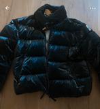 Parajumper jas, Verzenden, Zwart, Nieuw, Parajumpers