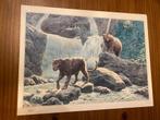 VINK sérigraphie zeefdruk 1990 BD 150 ex. 45 x 60 cm, Ophalen, Eén stripboek, Vink, Zo goed als nieuw