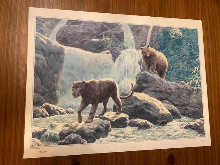 VINK sérigraphie zeefdruk 1990 BD 150 ex. 45 x 60 cm, Boeken, Stripverhalen, Zo goed als nieuw, Eén stripboek, Ophalen