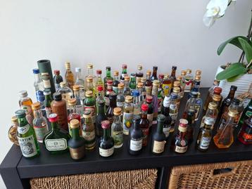 Lot 75 mini bouteilles alcool mignonettes beschikbaar voor biedingen