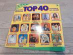 Dubbel Lp : Top 40, Cd's en Dvd's, Ophalen of Verzenden, Zo goed als nieuw