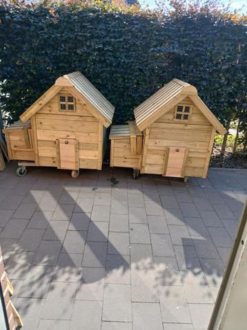 Mooie kippen hokken  beschikbaar voor biedingen