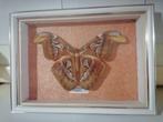 Taxidermy, Verzamelen, Dierenverzamelingen, Verzenden, Nieuw, Insect, Opgezet dier