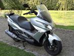 Kawasaki j 300, 1 cylindre, Scooter, Particulier, 300 cm³