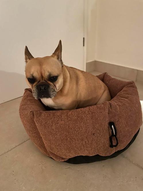 Honden (of poezen) mand, Dieren en Toebehoren, Hondenmanden, Gebruikt, Stof, Ophalen