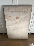 PJÄTTERYD the vitruvian man from da Vinci, Huis en Inrichting, Ophalen of Verzenden, Zo goed als nieuw