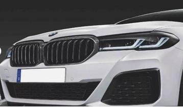 M Performance Grille Carbon BMW 5 serie G30 G31 + LCi 517124 beschikbaar voor biedingen