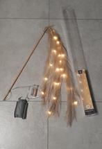 Pampas met verlichting 20 led's, Ophalen of Verzenden, Zo goed als nieuw