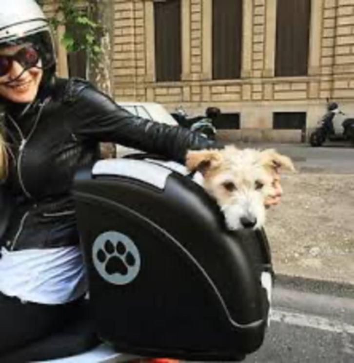 Pet on wheels uw hond of kat mee op de motor, Motoren, Accessoires | Koffers en Tassen, Zo goed als nieuw, Ophalen