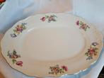 Czechoslovakia, plat en porcelaine 22x32