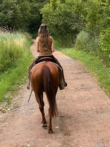 Lieve quarterruin zoekt gouden huisje beschikbaar voor biedingen