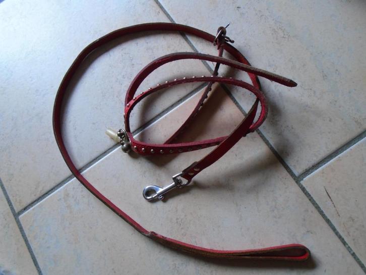 „RIEM+KRAAG+HARNAS+GRATIS, Dieren en Toebehoren, Honden-accessoires, Gebruikt, Ophalen of Verzenden