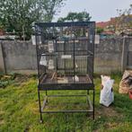 Cage à oiseaux, Utilisé, Enlèvement ou Envoi