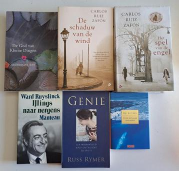 Romans & Literatuur (12) beschikbaar voor biedingen