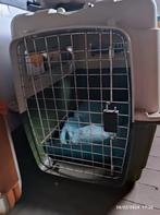 Cage pour chien moyen, Animaux & Accessoires, Boîtes de transport, Enlèvement, Utilisé