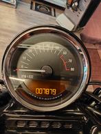 Harley-Davidson SPORTSTER ROADSTER XL1200CX, Motos, Motos | Harley-Davidson, 1200 cm³, Chopper, Entreprise