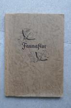 Faunaflor II Cote d'Or, Boeken, Prentenboeken en Plaatjesalbums, Ophalen of Verzenden, Gelezen, Cote d'Or, Plaatjesalbum