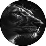 Tigre noir et blanc Cercle mural 60x60 Forex + Système d'acc, Envoi, Neuf