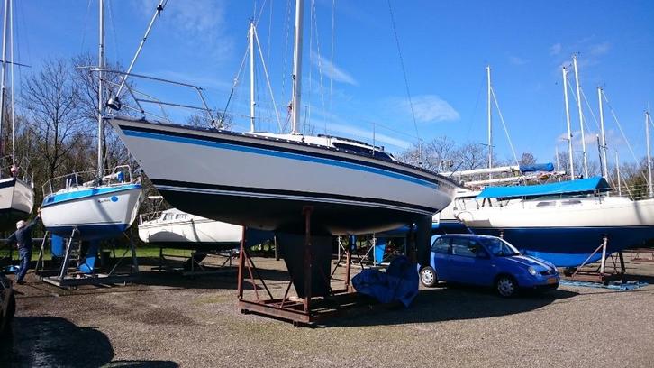 Kajuitzeilacht Kelt 800, Watersport en Boten, Kajuitzeilboten en Zeiljachten, Gebruikt, Polyester, 6 tot 9 meter, Diesel, Ophalen