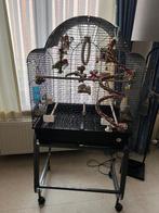 Montana Memphis II Antiek in topstaat!, Dieren en Toebehoren, Vogels | Hokken en Kooien, Ophalen, Zo goed als nieuw, Metaal, Vogelkooi