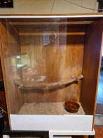 Terrarium in hout met glazen schuifdeuren en klimtak, Dieren en Toebehoren, Ophalen, Gebruikt, Terrarium of Paludarium