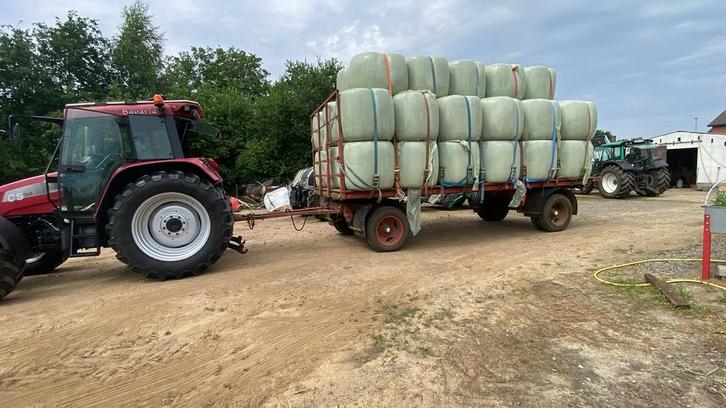 Midi balen hooi 2025, Dieren en Toebehoren, Paarden