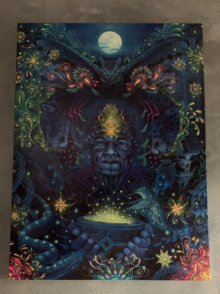 Visionary Art: Robert Amaringo - Protection. of the Shaman, Antiek en Kunst, Kunst | Schilderijen | Modern, Ophalen of Verzenden