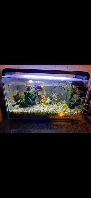 Aquarium te ruil beschikbaar voor biedingen