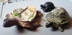 Lot deco schildpadjes, Ophalen of Verzenden