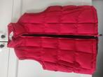 blouson sans manche Northwood taille S, Vêtements | Femmes, Blousons sans Manches, Enlèvement, Porté