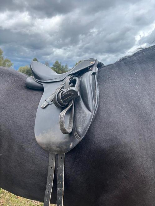 Dressuur zadel 16.5 inch, Dieren en Toebehoren, Paarden en Pony's | Zadels, Zo goed als nieuw, Dressuur, Ophalen