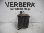 KACHELRADIATEUR Mercedes-Benz Ponton (W105) (01-1957/-), Auto-onderdelen, Gebruikt, Mercedes-Benz