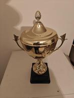Trofee, Verzamelen, Sportartikelen en Voetbal, Ophalen of Verzenden