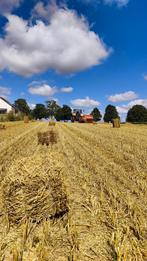 Petits ballots de  paille, Articles professionnels, Enlèvement