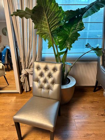 GRATIS Stoelen 8 stuks grijs/zilver beschikbaar voor biedingen